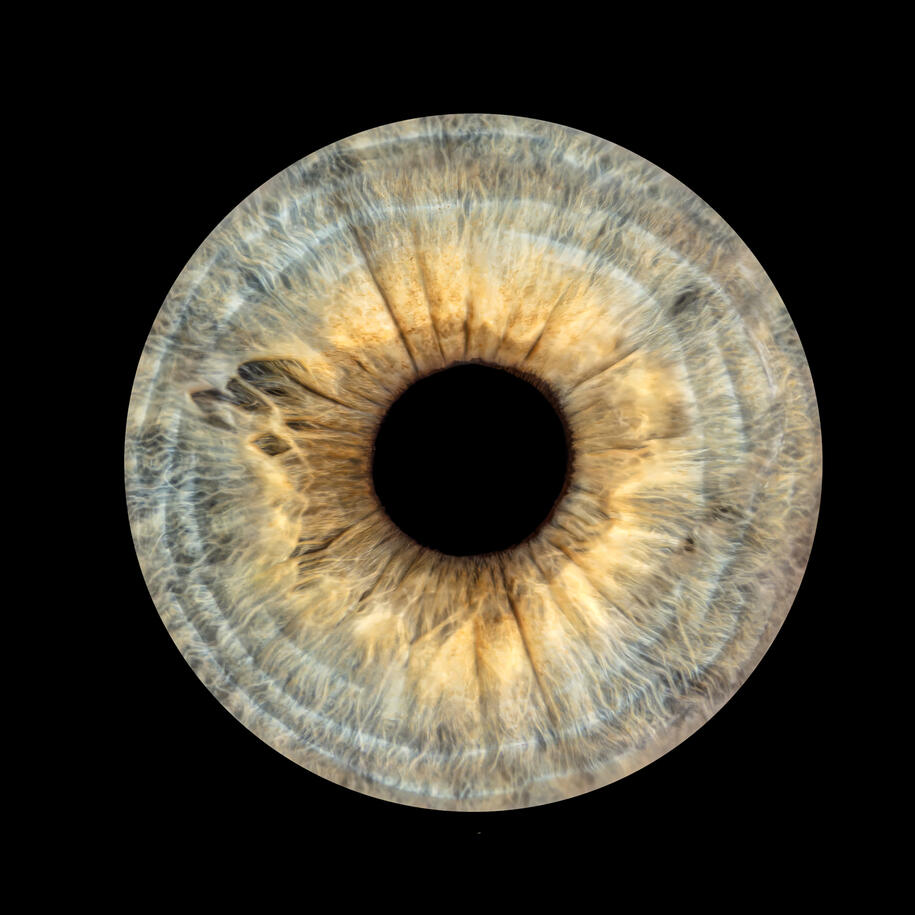 Photographie iris au studio Deux-Quatre, Guebwiller 1