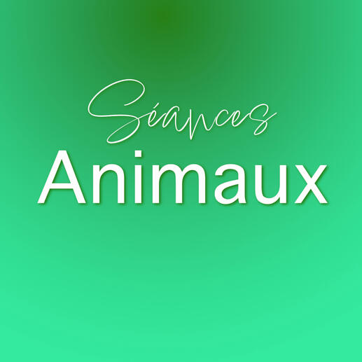 Séance photo animaux au studio Deux-Quatre, Guebwiller